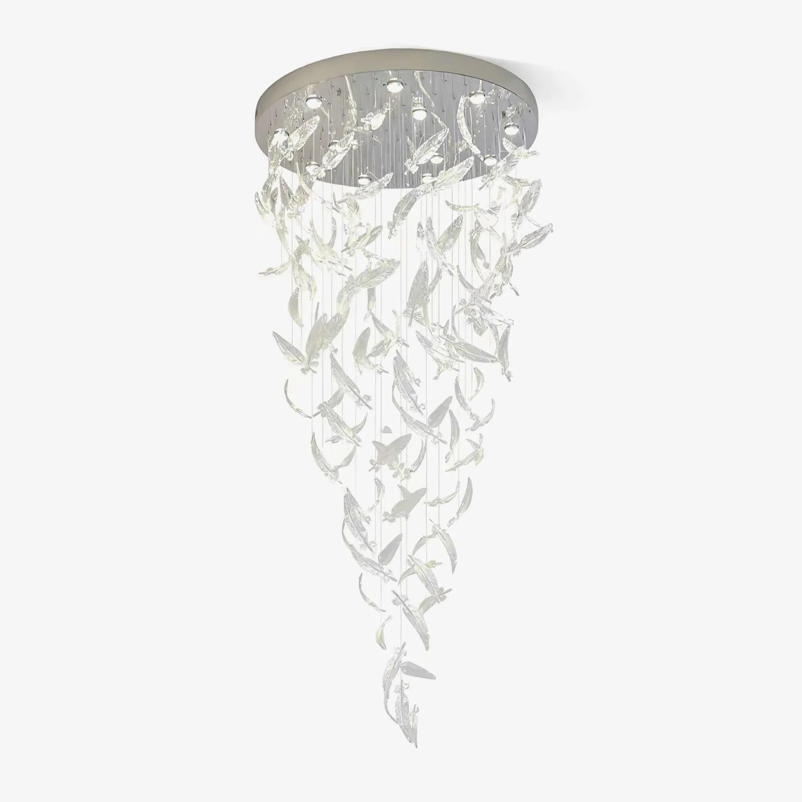 Product image 55